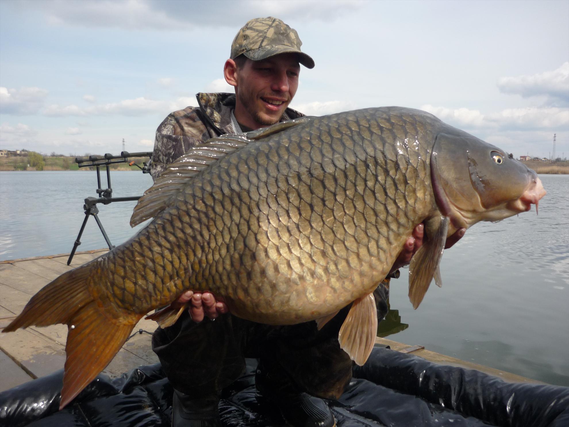 Foto dulapi - picture-051.jpg